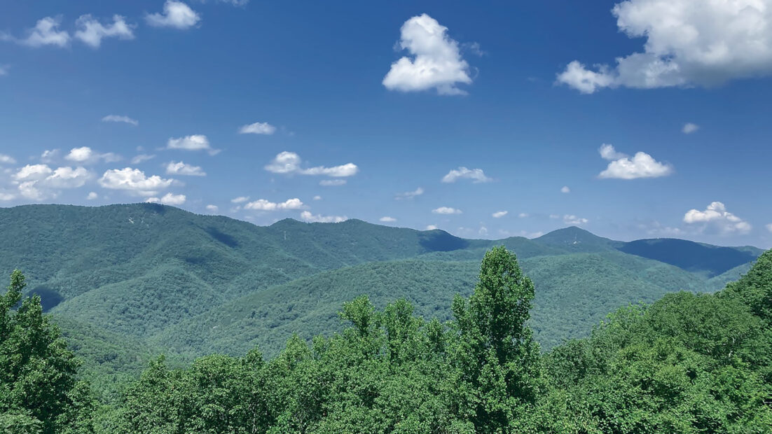A Catalyst for Conservation - Appalachian Trail Conservancy