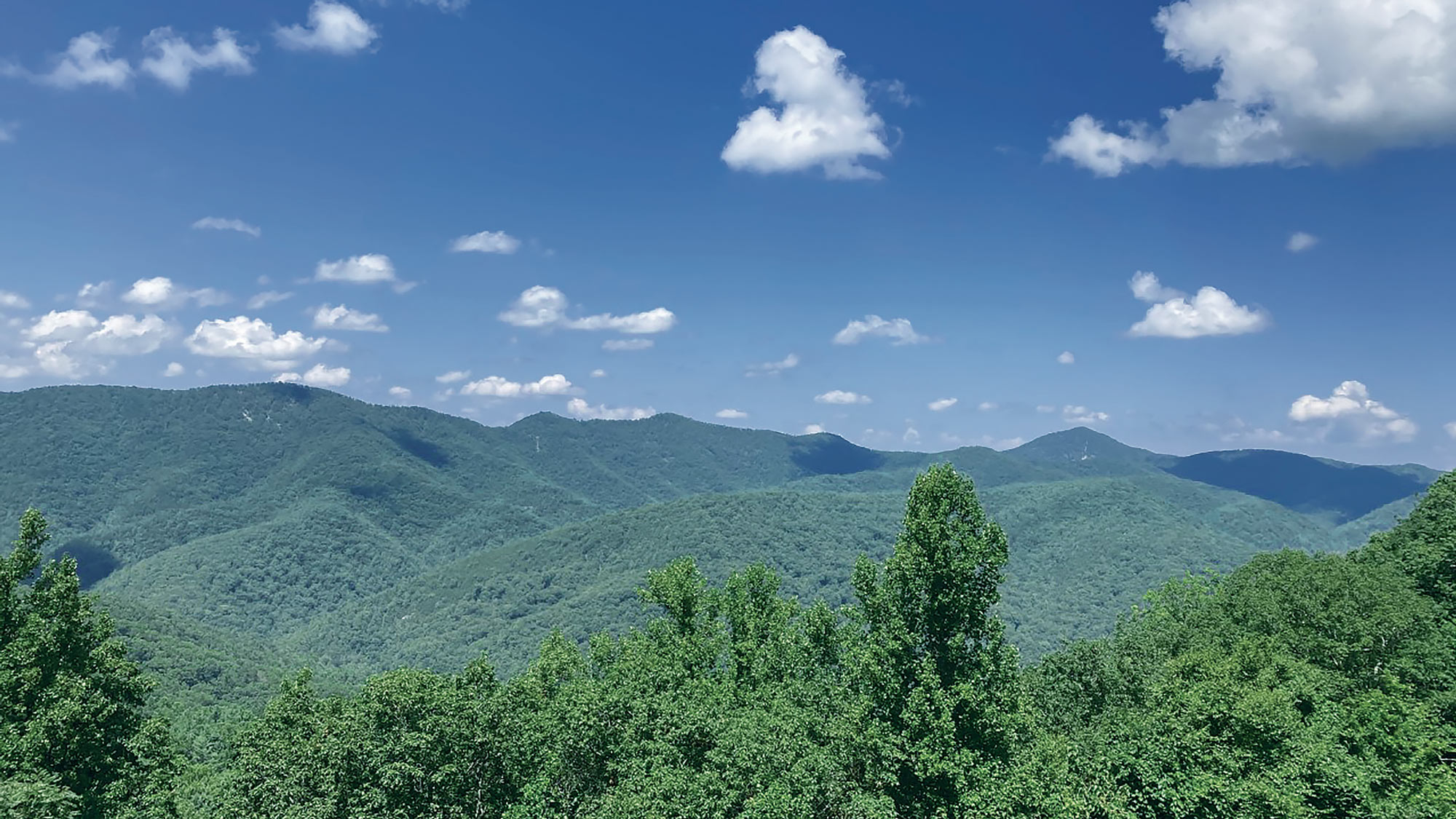 In the Blue Ridge region of Virginia, a Wild East Action Fund grant enabled an indigenous-led nonprofit, NDPonics, to protect a mountain peak that has been used in traditional ceremonies for generations.