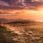 Photo by Josh Tullock