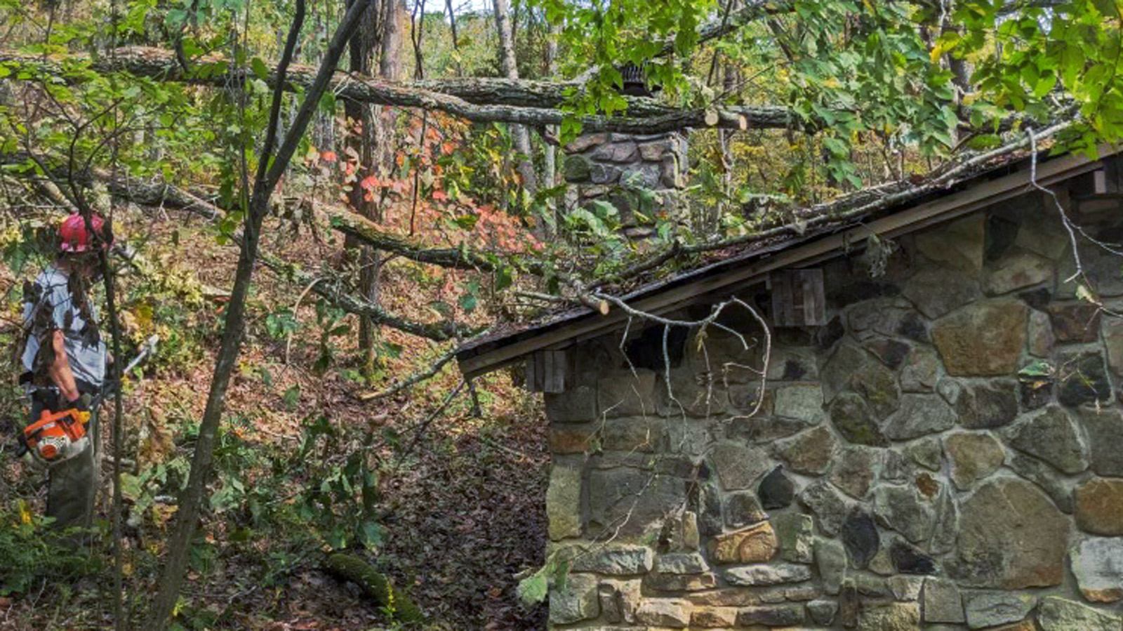 A full day clearing storm damage along the emergency access route to Trimpi Shelter in Smyth County, Virginia.