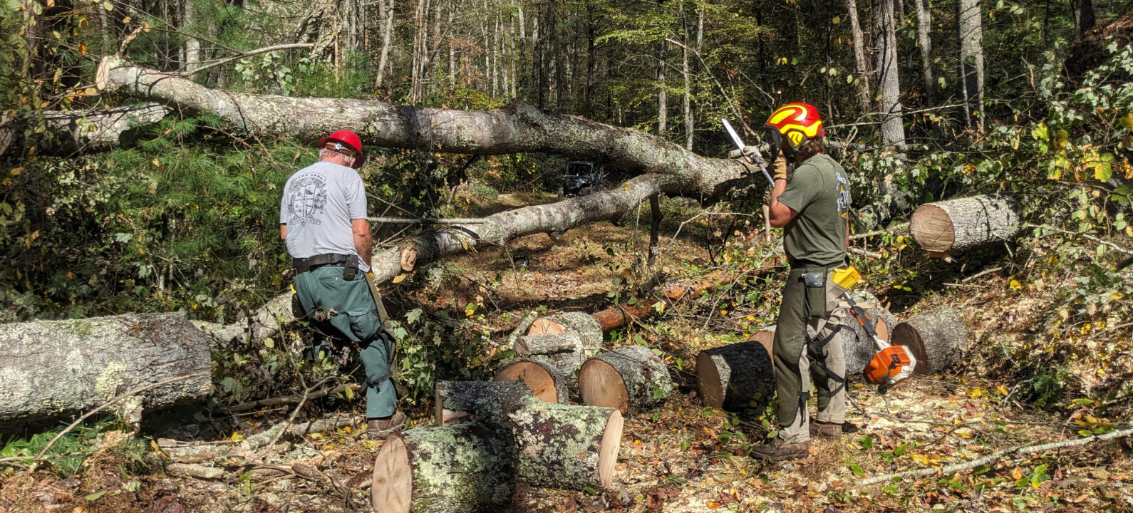 Helene damage in Mt Rogers NRA