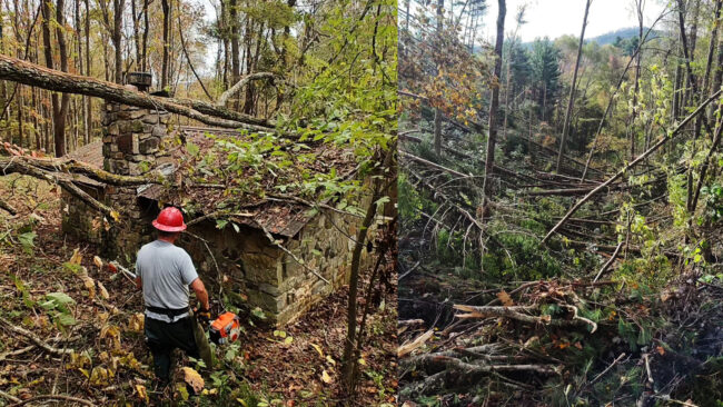 Trimpi Shelter and Saunders Shelter Clean Up