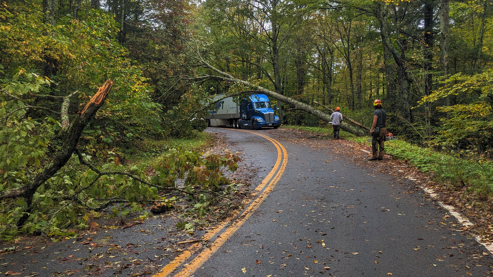 Hurricane Helene damage to highway 603 in the Mt. Rogers National Recreation Area; by Virginia Mooney