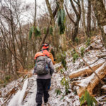 Volunteers from MRATC and other Virginia A.T. clubs hike in with tools to repair tread damaged by Hurricane Helene south of Damascus on December 4.