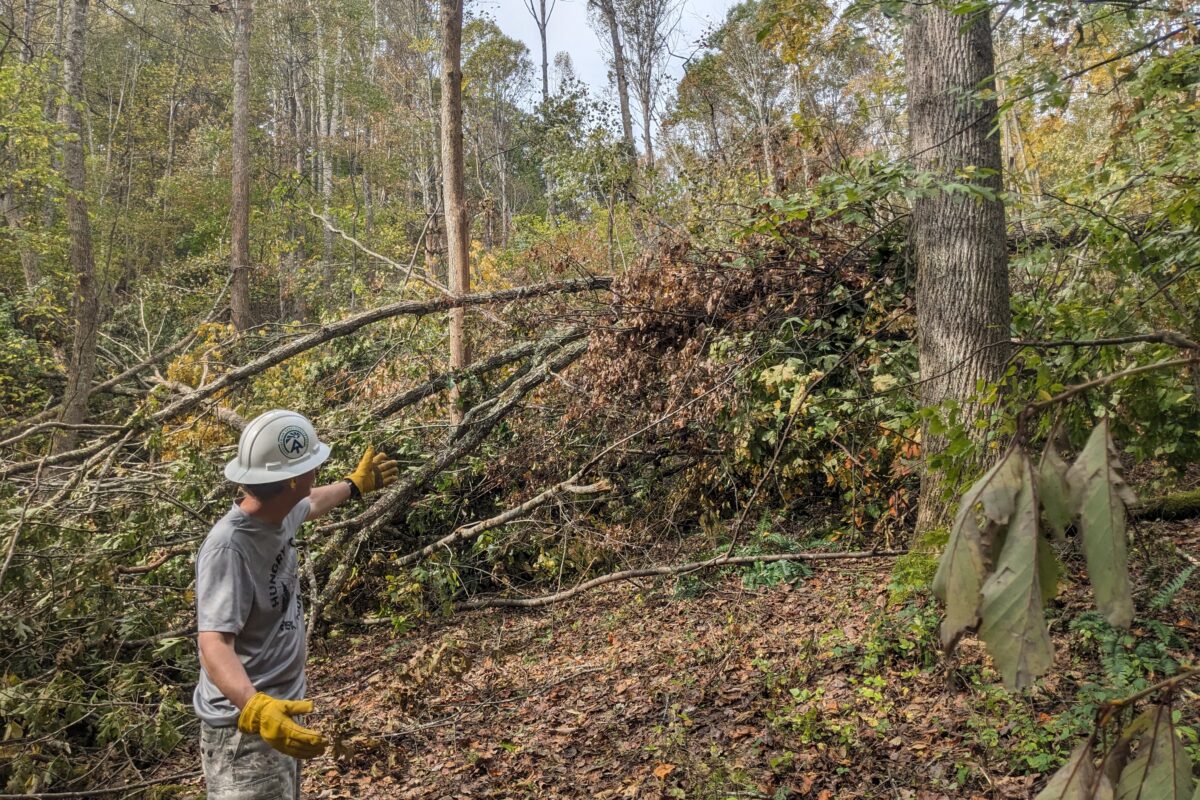 helene-damage-in-mt-rogers-nra-6_catc helene-damage-in-mt-rogers-nra-6_catc
