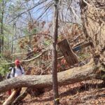 alt alt alt alt text text test