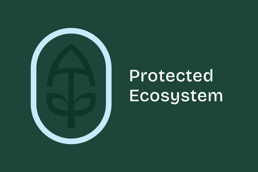 elements-of-mark-ecosystem-2