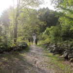 Young people walking down a forested trail path