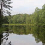 Photo of a body of water surrounded by deciduous forest and cloudy sky.