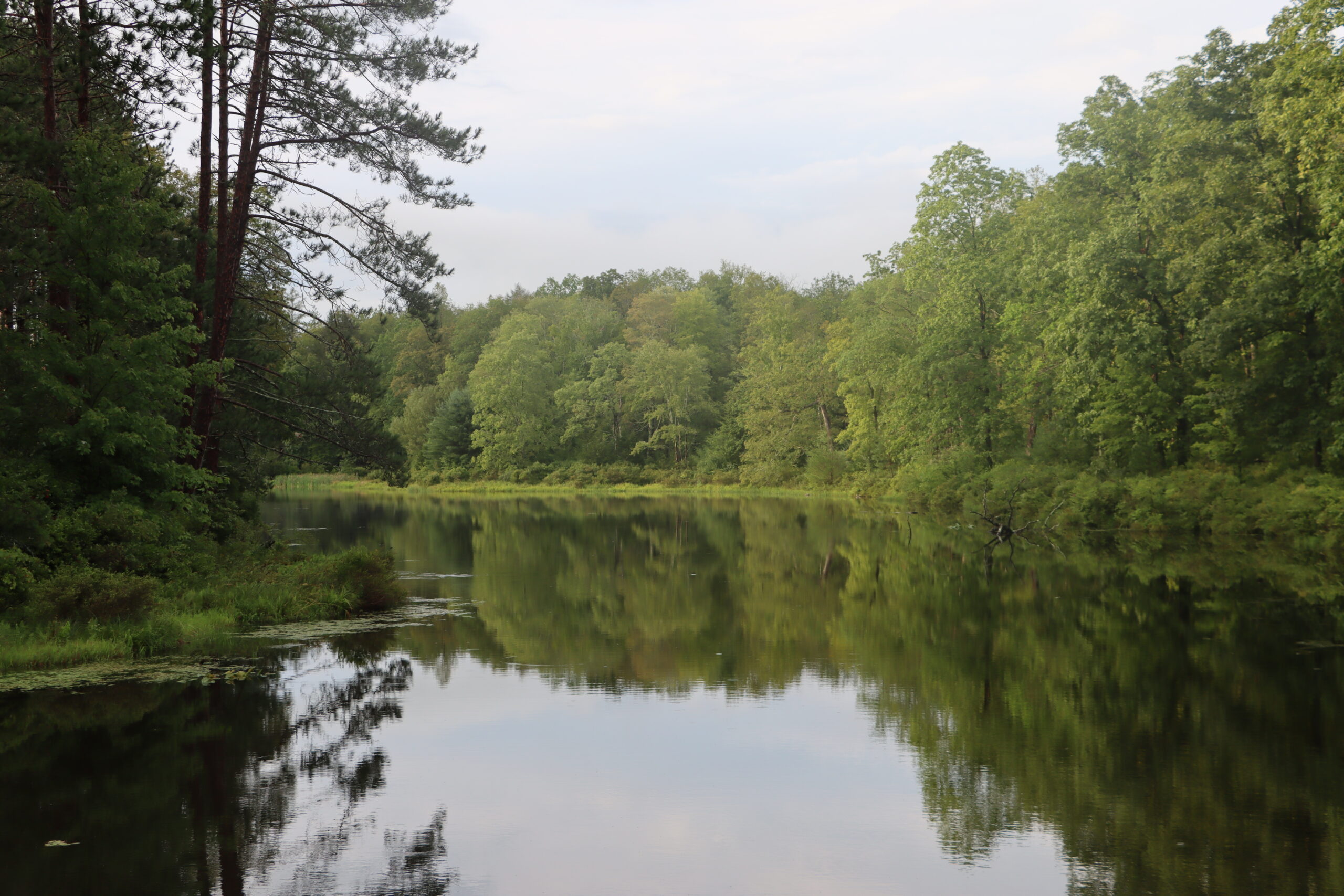 Photo of a body of water surrounded by deciduous forest and cloudy sky.