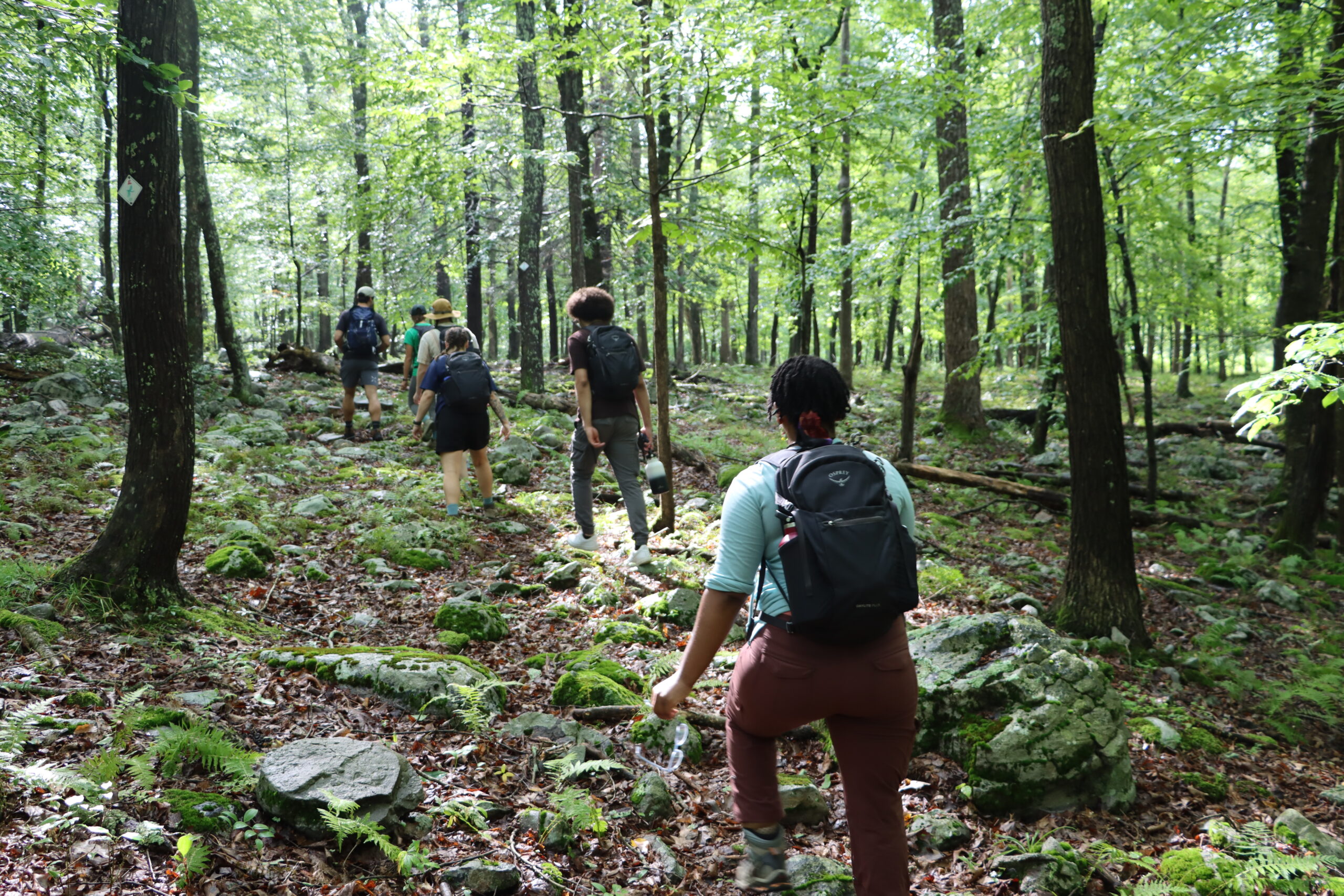 Several young people wearing outdoor clothes and backpacks walking down a rocky forest trail on the Appalachian Trail