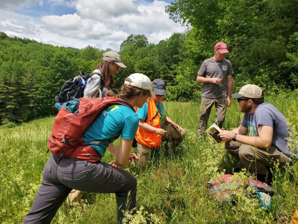 Group of people circled up together outside in tall grass, with one person looking through a plant identification guidebook at Howard Hill in Vermont.