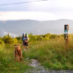 Woman hiking with her leashed terrier dog