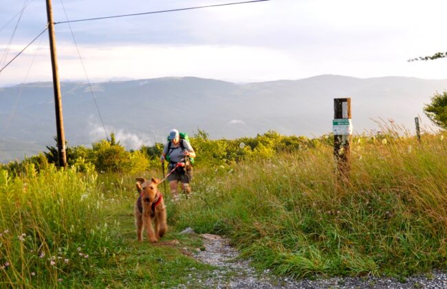 Woman hiking with her leashed terrier dog