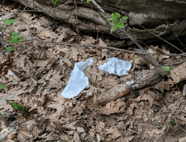 Toilet paper littered on the ground