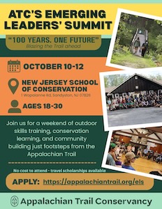 2025 Emerging Leaders’ Summit Flyer