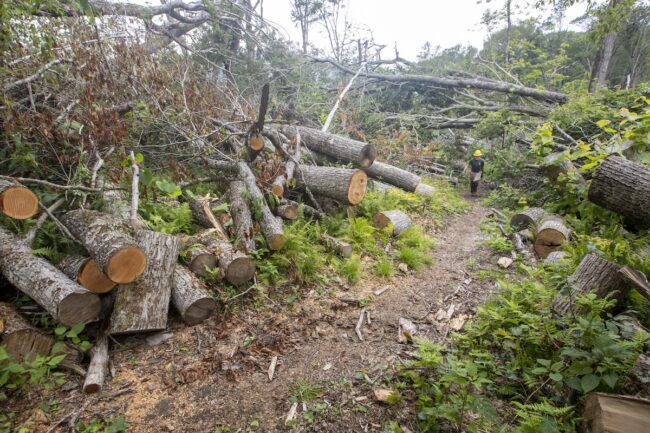 One Year After Hurricane Helene - Appalachian Trail Conservancy