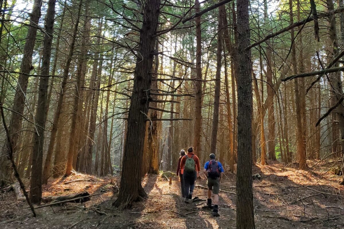 atc_rp19902_hikers-in-woods-etna-nh-2-lpr-1 atc_rp19902_hikers-in-woods-etna-nh-2-lpr-1