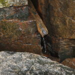 Water drips from a rocky natural spring