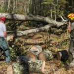 A.T. Resiliency Fund