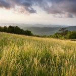 Mission, Vision & Strategic Plan