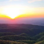 Qualified Charitable Donations