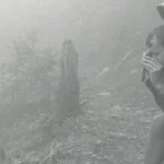 Share Your Experience