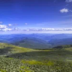 Workplace Giving & Corporate Matching Gifts