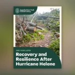 Hurricane Helene Impact Report