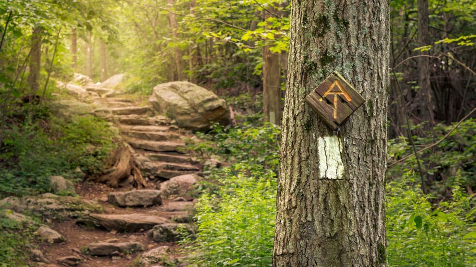 Protecting the Places We Love: Avoiding Crowds on the Appalachian Trail ...