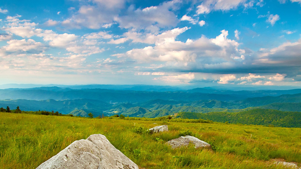 Conservation - Appalachian Trail Conservancy