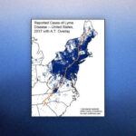 Map showing concentration of lyme disease cases along the US East Coast, primarily in the Mid-Atlantic and Northeast regions
