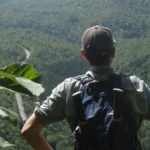 Cooperative Management