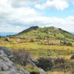 Land & Resource Management