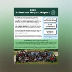 Volunteer Impact Report 2025