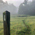 Appalachian Trail heads through a foggy meadow, marked by a wooden post with a white painted blaze
