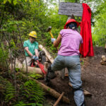 Volunteers use handtools to build new wooden stairs this summer in Mt Rogers High County