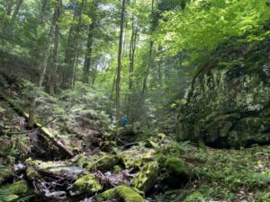 A spectacular quartz glacial erratic rests in the ravine of Hewes Brook.
