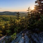 Sun peaks over spruce trees dotting a mountainous forested ridgeline.