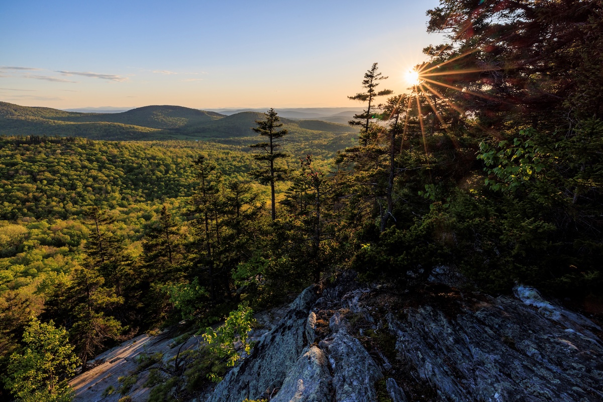 Sun peaks over spruce trees dotting a mountainous forested ridgeline in Spruce Ridge Wilderness Preserve.
