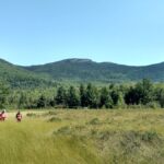 Four boundary crew members walk through a grassy meadow with sweeping views of the Bigelow Range in the distance.