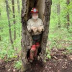 Bob Patten, ATC crew volunteer, stands in a hollow tree trunk wearing protective gear.