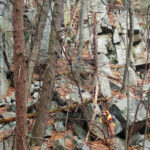 Boundary crew member paints a yellow blaze one of many large boulders making a nearly vertical cliff along the Appalachian Trail corridor boundary.