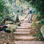 Trail maintainer uses hand tools to build a wooden staircase on the Appalachian Trail.