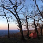 Orange tent pitched in a small grove of trees along the Appalachian Trail in Georgia.