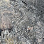 Dark gray metamorphic rock showing distinct, undulating bands of varying colors.