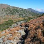 Appalachian Trail winds through large mountain range dotted with pine trees, rocks, and tall grasses.