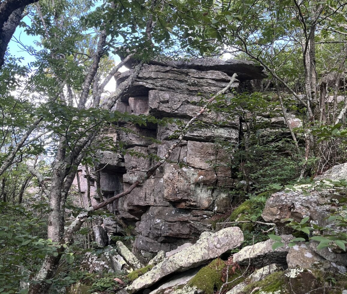 What to Look for While Looking at Your Feet on the Appalachian Trail ...