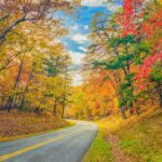 Winding rural road through a forest with vivid fall colors—orange, yellow, red leaves lining the road beneath a blue sky