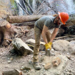 Worker wearing an orange hard hat and yellow gloves chisels rock at an outdoor, rocky site with fallen logs nearby.